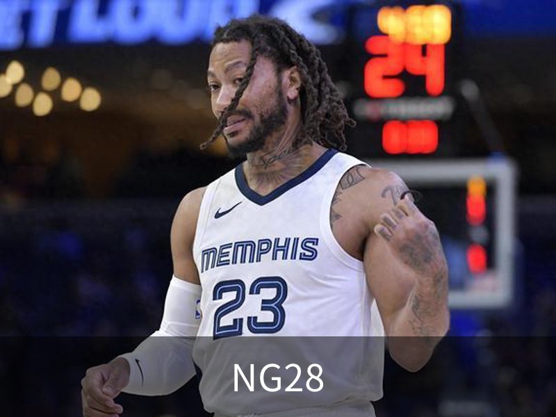 NG28简介